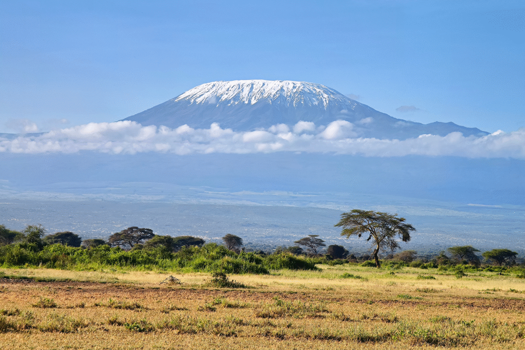 kilimanjaro 1