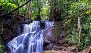 Discovering African Destinations more: The Karura Forest in Kenya