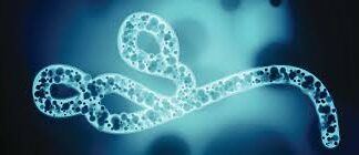 New Ebola Virus outbreaks confirmed in the Democratic Republic of Congo DRC; 80 persons confirmed Dead