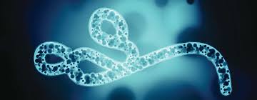 New Ebola Virus outbreaks confirmed in the Democratic Republic of Congo DRC; 80 persons confirmed Dead