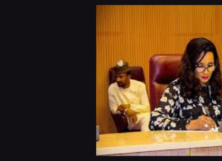 Nigeria reveals plans to repatriate their nationals from South Africa after recent xenophobic attacks