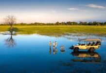 Africa’s Destinations: Visit The Okavango Delta, ‘The Kalahari’s Green Oasis’ (Botswana)