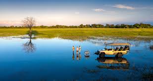 Okavango Delta 1
