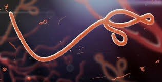 Bundibugyo Ebola Explained: The Deadly Strain With No Vaccine Scientists Are Still Racing to Defeat