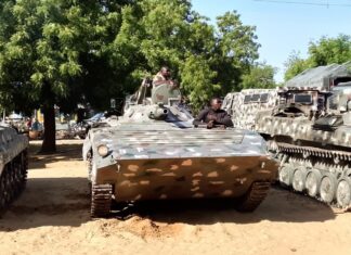 Suspected ISWAP Militants Kill 11 Farmers in North-East Nigeria