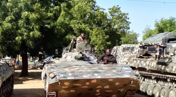 Suspected ISWAP Militants Kill 11 Farmers in North-East Nigeria