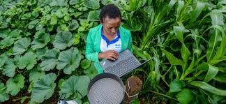 Transforming Agriculture using AI, Social Media and Technology; Kenyan Graduates and Youth lead a timely initiative
