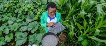 Transforming Agriculture using AI, Social Media and Technology; Kenyan Graduates and Youth lead a timely initiative