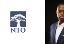 Bold Moves, Big Impact: How Risk-Takers like Dangote Are Rewriting Africa’s Energy Story