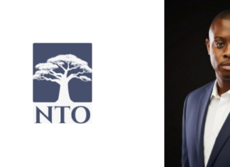 Bold Moves, Big Impact: How Risk-Takers like Dangote Are Rewriting Africa’s Energy Story