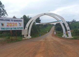 Cameroon Crisis: 12 Kidnapped in North West Ambush