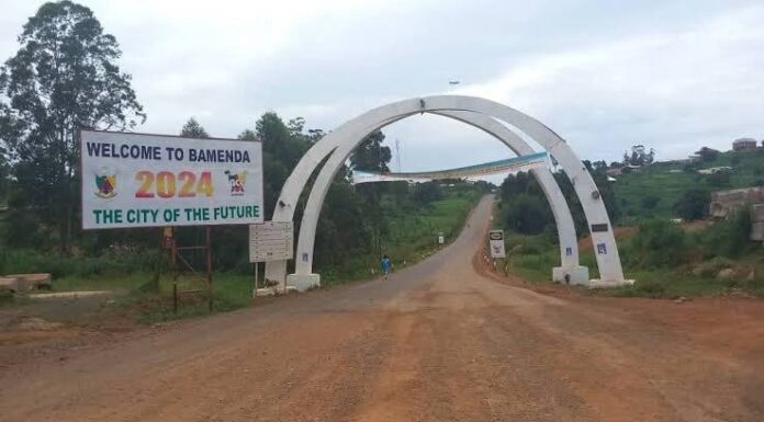 Cameroon Crisis: 12 Kidnapped in North West Ambush
