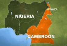 Cameroonian Troops Trigger Border Tension in Nigeria
