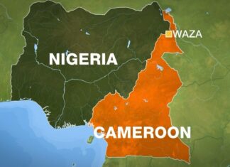 Cameroonian Troops Trigger Border Tension in Nigeria