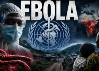 Angola’s Biggest Financial Forum of the Year Is Postponed; Ebola Is Why