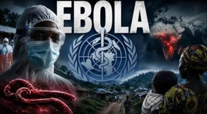 Angola’s Biggest Financial Forum of the Year Is Postponed; Ebola Is Why